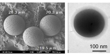 1. Functional micro/nano capsules